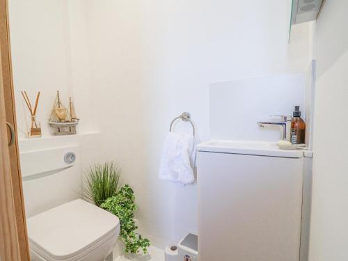 a white bathroom with a toilet and a sink at Lantern Cottage in Colyton