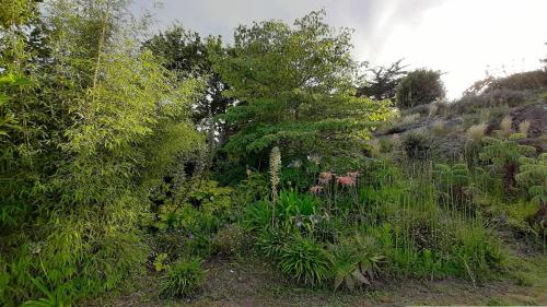 Photo de la galerie de l'établissement Belle villa 4 étoiles avec jardin, WIFI à 600m de la plage à TREGASTEL - Ref 137, à Trégastel