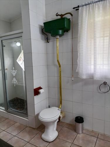 a bathroom with a shower and a toilet with a shower at Shingalana Guest Lodge in Hazyview