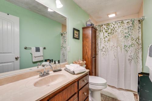 W łazience znajduje się umywalka, toaleta i prysznic. w obiekcie Pet-Friendly Greeneville Home with Private Fire Pit! w mieście Greeneville