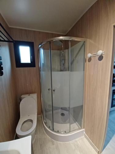 a bathroom with a shower and a toilet at La Cabanne du Vigné in Saint-Pargoire
