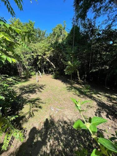 Gallery image of Mágica cabaña en medio del bosque en Isla Venado in Lepanto