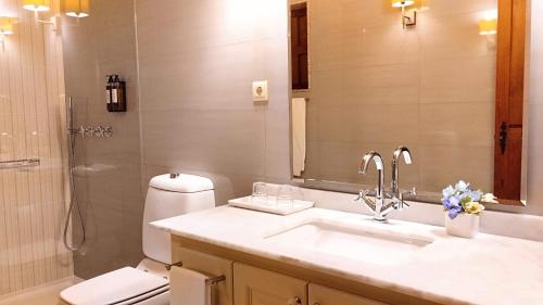 a bathroom with a sink and a toilet and a shower at Quinta do Burgo - Nature Hotel in Amares