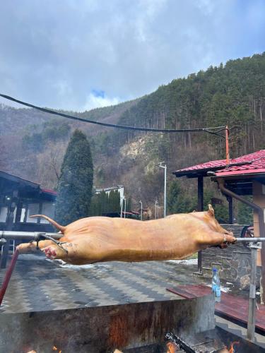 Φυσικό τοπίο κοντά σε αυτός ο ξενώνας