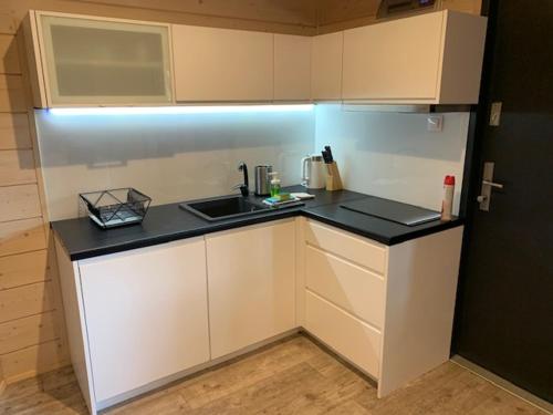 Dapur atau dapur kecil di Domki Albertówka - Strefa Relaksu