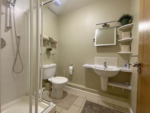 een badkamer met een toilet, een wastafel en een douche bij Apartment 453 - Clifden in Clifden