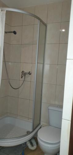 uma casa de banho com um chuveiro e um WC. em Pokoj 5 osobowy z kuchnią i łazienka em Tomaszów Mazowiecki