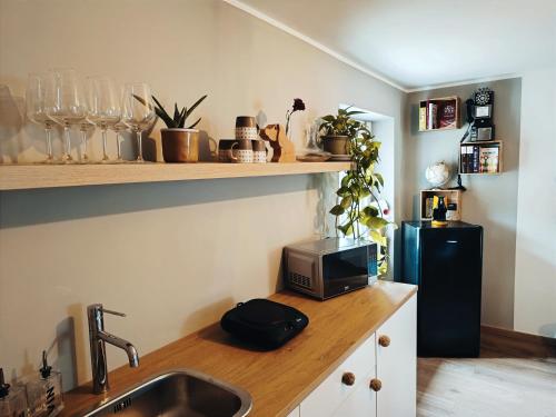 uma cozinha com um lavatório e um micro-ondas no balcão em Bricco Nebbiolo em Neviglie