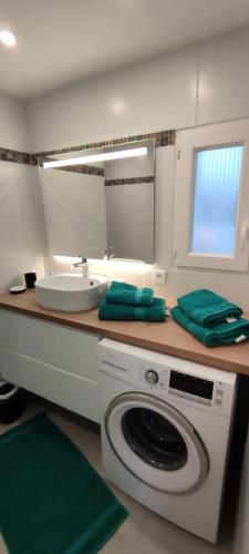 une salle de bain avec une machine à laver et un lavabo dans l'établissement Gîte des 3 marcassins, à Préaux