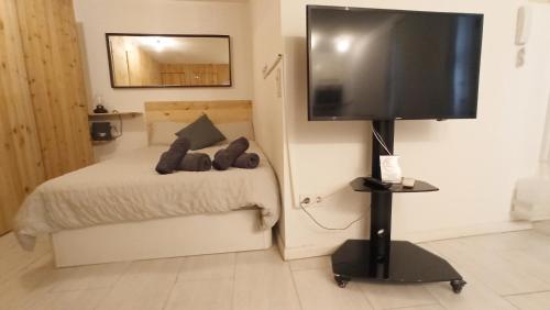 a bedroom with a bed and a flat screen tv at Apartamento en Chueca Gran via con Smart TV in Madrid