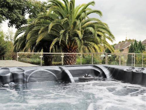 a pool of water with a palm tree in the background at No 1 Ashey in Ryde