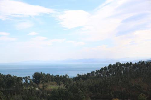 Φυσικό τοπίο κοντά σε αυτό το διαμέρισμα