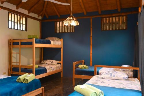 Zimmer mit 2 Etagenbetten und einer blauen Wand in der Unterkunft Montañita Cabañas in Montañita