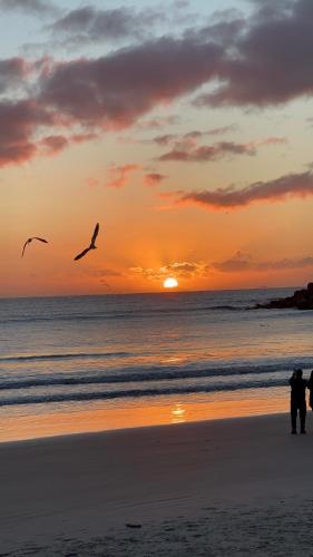 two people walking on a beach with birds flying at Pousada Sol e Mar in Farol de Santa Marta