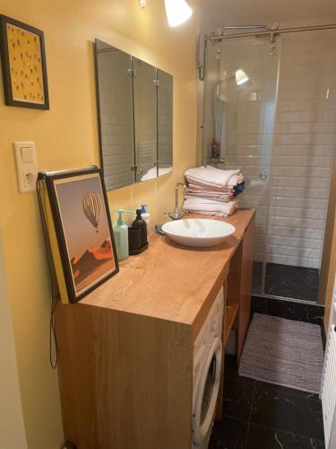 une salle de bain avec un lavabo et une machine à laver dans l'établissement Spatious Charming Parisian flat (central, Republique place, Le Marais), à Paris