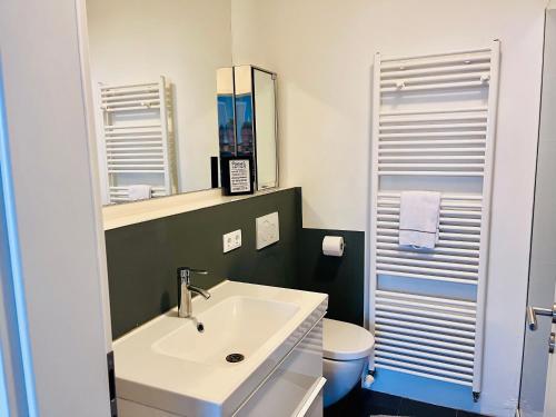 bagno con lavandino, servizi igienici e specchio di Mosel Quartier 32 a Brodenbach