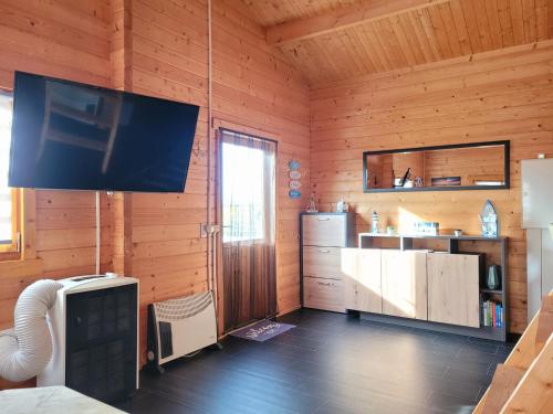 a living room with a television in a log cabin at Ferienhaus Seeblick in Nöda