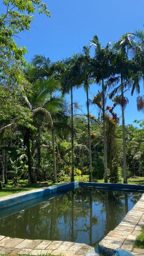 a swimming pool with palm trees in the background at Recanto Cachoeira in Paraty