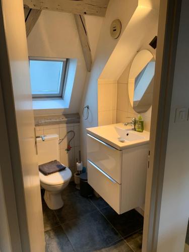 ein Badezimmer mit Toilette und Waschbecken in der Unterkunft Appartement Duplex 2a Rue d'Alspach in Colmar
