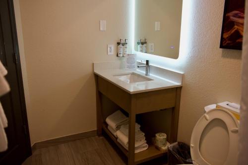 uma casa de banho com um lavatório e um WC em Candlewood Suites Harrisonburg, an IHG Hotel em Harrisonburg