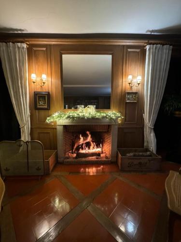 a living room with a fireplace and a mirror at La plaine de l'Angelus in Chailly-en-Bière