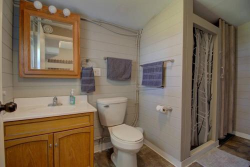 Ванна кімната в Bass Cabin at Spitzer Lake and Waterfront Views