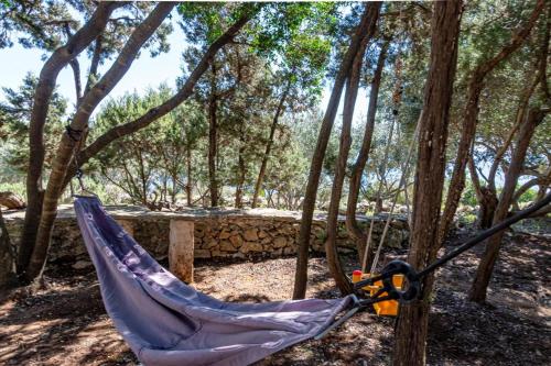 a hammock is tied to a tree in the woods at Apartman Mario in Korčula
