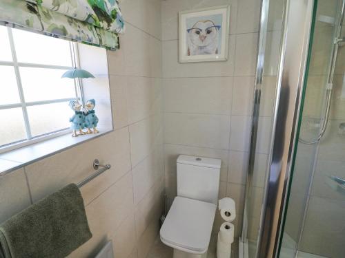 a small bathroom with a toilet and a window at Sea's The Dream in Clonakilty