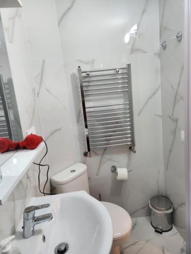 a white bathroom with a toilet and a sink at Vila Reghina in Alba Iulia