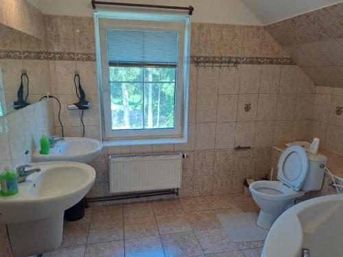 baño con aseo, 2 lavabos y ventana en Ferienhaus für 12 Personen und 3 Kinder in Vranov, Böhmen, 