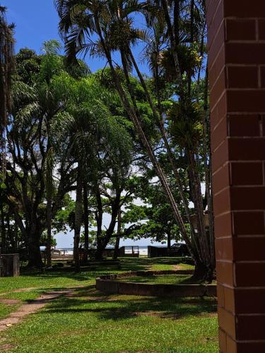 a group of palm trees in a park at Casa Pé na Areia Cantão do Bora Bora - Manaaki Surf Hostel in São Sebastião