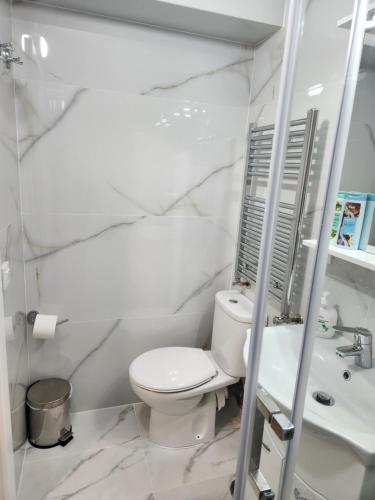 a white bathroom with a toilet and a sink at Vila Reghina in Alba Iulia