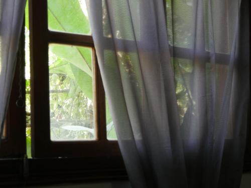 a close up of a window with white curtains at Hotel Mandacarú Puerto Viejo in Puerto Viejo