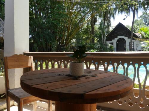 a wooden table with a potted plant on a balcony at Hotel Mandacarú Puerto Viejo in Puerto Viejo