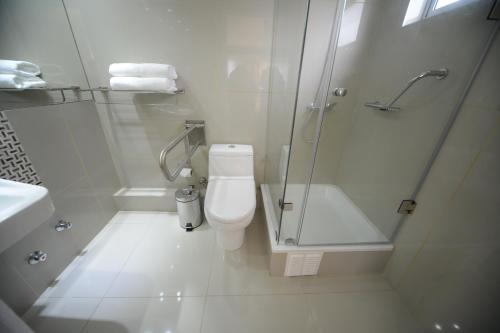 a white bathroom with a shower and a toilet at Hotel Boutique Reyall in Santiago