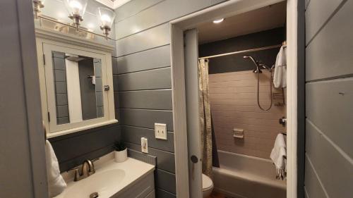 a bathroom with a sink and a toilet and a mirror at Watercolors Retreat on Crooked Lake in Conway