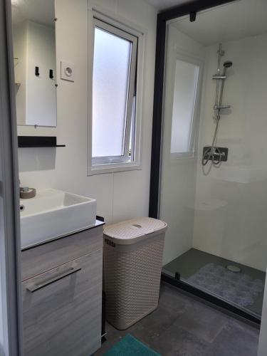 La salle de bains est pourvue d'un lavabo et d'un miroir. dans l'établissement Vacances en Mobil home à Piriac sur mer, à Piriac-sur-Mer