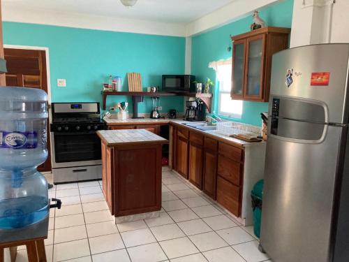 eine Küche mit einem Kühlschrank aus Edelstahl und Holzschränken in der Unterkunft JAGUAR MORNING STAR in Caye Caulker