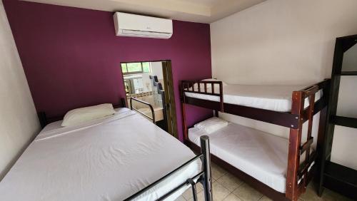 two bunk beds in a room with a purple wall at Hotel LUZ de LUNA Bahía Ballena in Uvita
