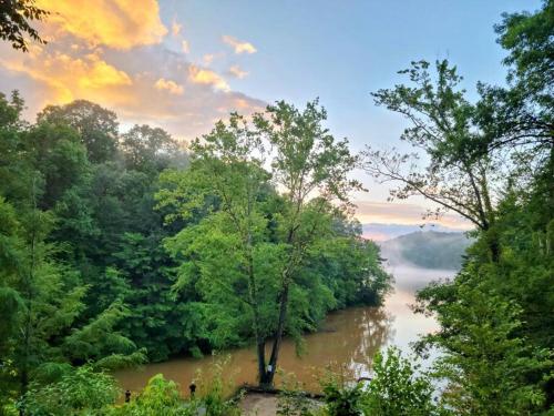 Blick auf einen Fluss inmitten eines Waldes in der Unterkunft 1 Bedroom Log Cabin on Lake James-Private Resort Amenities in Marion