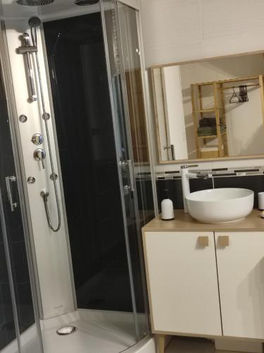 a bathroom with a glass shower and a sink at Bienvenue chez Coco in Dunkerque