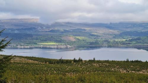 a view of a lake with trees and mountains at Thistle House Guest House in Saint Catherines