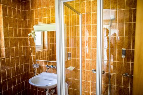 a bathroom with a shower and a toilet and a sink at Hotel Alpenhof in Kerns