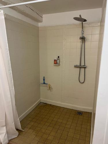 une douche dans une salle de bain avec un sol carrelé dans l'établissement Maison ancienne Bourgogne piscine privée 7 x 3,5 x 1,30, à Saint-Julien-de-Civry
