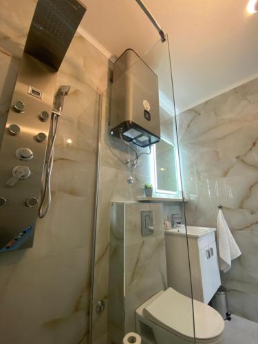 a bathroom with a shower and a toilet and a sink at King's Landing Esma' house in Dubrovnik