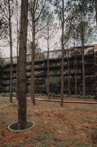 Κήπος έξω από το Get Hotel Molvento, AKEN SOUL Collection