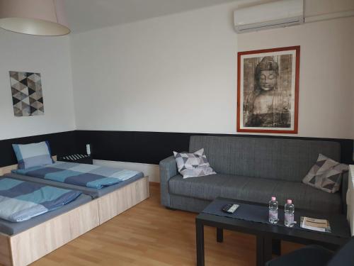 uma sala de estar com um sofá, uma cama e uma mesa em Central Apartman em Salgótarján