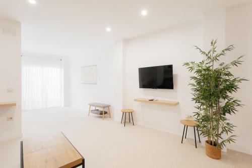 a living room with a tv and a plant at Amplio Apartamento Cerca Centro Histórico y Turia 5pax 2 Bath in Valencia