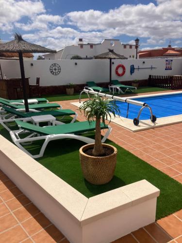 a pool with lounge chairs and a plant in a pot at Villa 20 in Caleta De Fuste