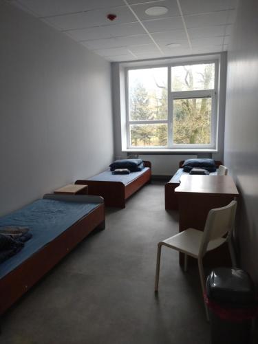 a room with three beds and a window at Hostel PLUNKSA in Marijampolė